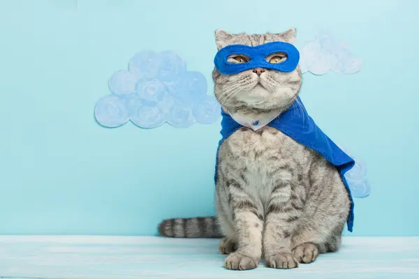 Who is a cat's favorite superhero?