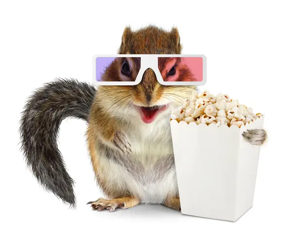 What is a squirrel's favorite way to watch TV?