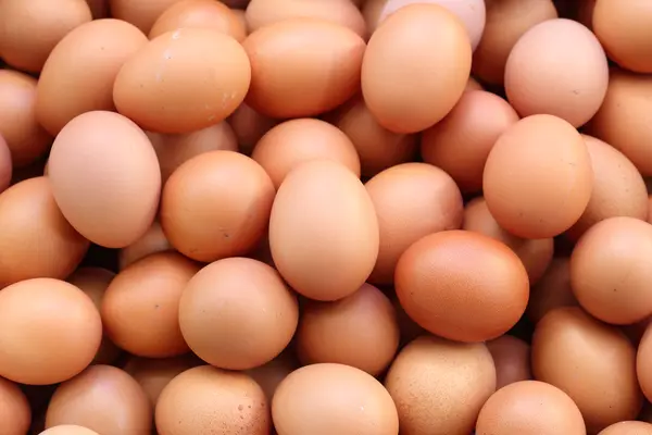 Where's the best place to learn about eggs?