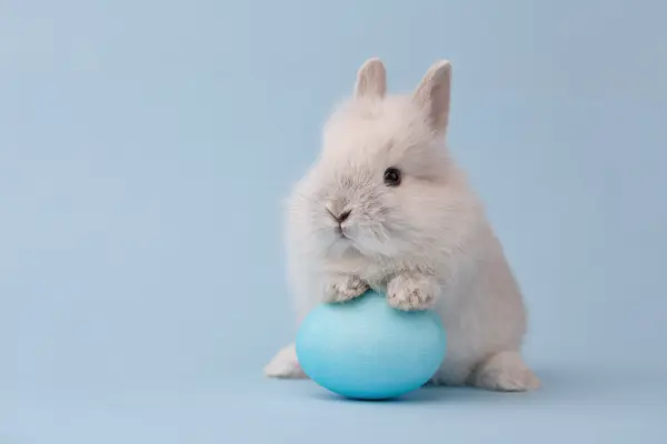 5 Hare-Raising Easter Bunny Jokes That Are to Dye for