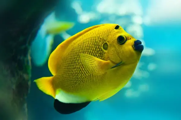 What did the fish say when he hit a concrete wall?