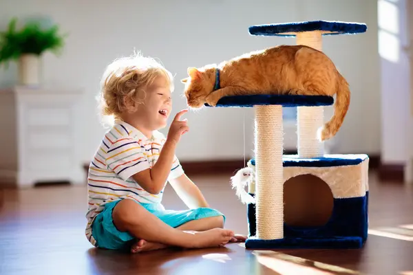 What kinds of cats do kids love to play with?