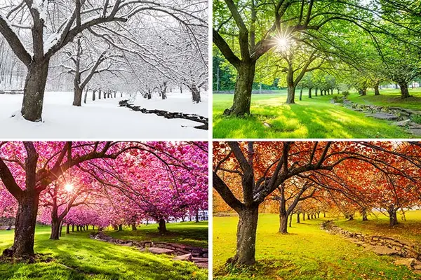 What season begins with a thud?