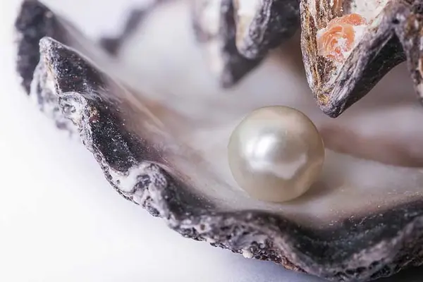 Why don't oysters share their pearls?