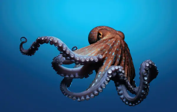 What did the octopus use to write his novel?