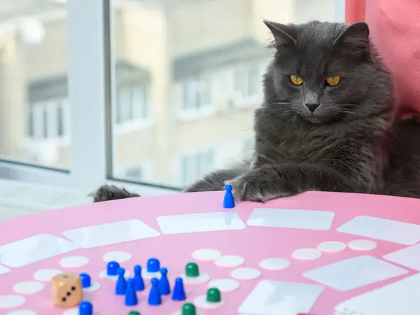 What's a cat's favorite board game?