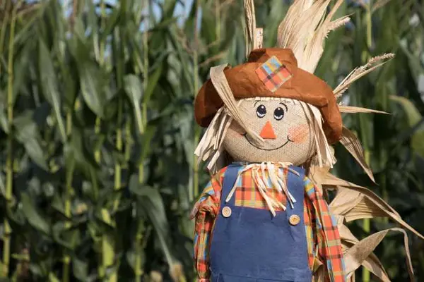 Why did the scarecrow win an award?