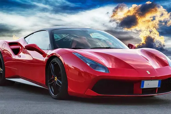 Bears love exotic cars.