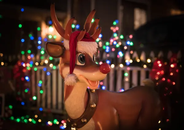 Why does Rudolph love to get wet?