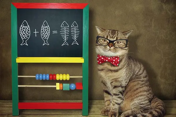 What is a cat's favorite math problem?