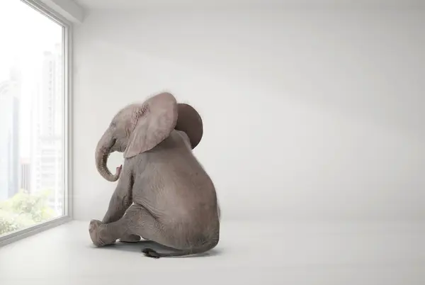 What time is it when an elephant sits on your bed?