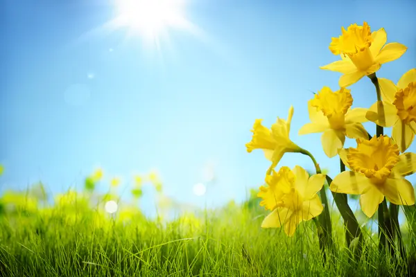 Why is spring the oddest season?