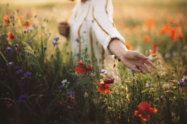 Which flower is easily embarrassed?