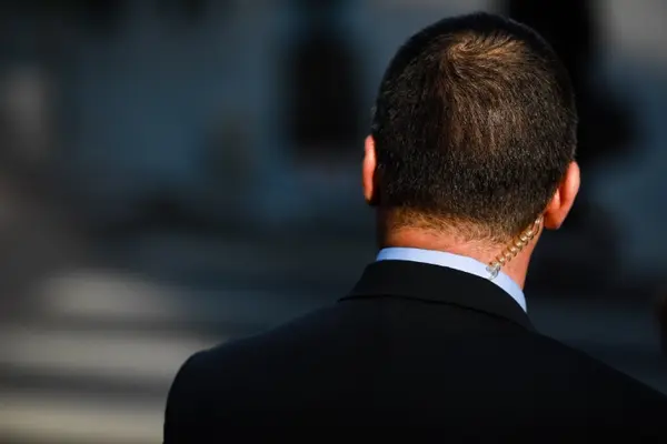 Why did the Secret Service bring a herd of cows to the White House?