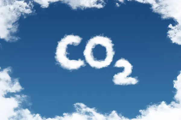 What do you call it when CO2 goes out to dinner?