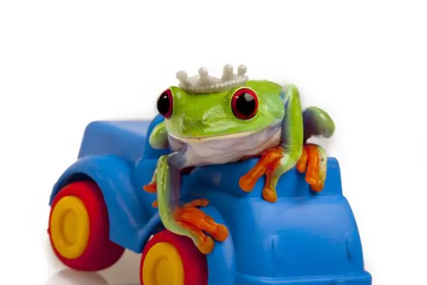 What happens when a frog's car dies?