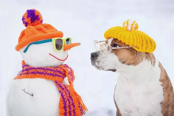 Why did the snowman call his dog Frost?